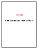 Tiểu luận: Cán cân thanh toán quốc tế