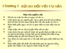 Bài giảng Quản trị rủi ro - Chương 5: Rủi ro đối với tài sản