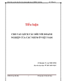 Tiểu luận: Cho vay kích cầu đối với các doanh nghiệp của các NHTM ở Việt Nam - Vũ Chu Bảo Ngọc