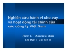 Tiểu luận: Nghiên cứu hành vi cho vay và hoạt động tài chính của các công ty Việt Nam