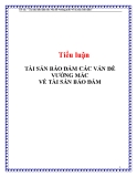 Tiểu luận: Tài sản bảo đảm các vấn đề vướng mắc về tài sản bảo đảm