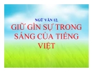 Bài giảng Ngữ văn 12 tuần 2 bài: Giữ gìn trong sáng Tiếng Việt