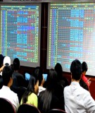 Tiểu luận: Hoạt động của sàn giao dịch chứng khoán TP.HCM (HOSE) năm 2009