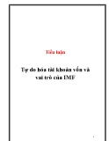 Tiểu luận: Tự do hóa tài khoản vốn và vai trò của IMF