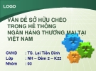 Tiểu luận: Vấn đề sở hữu chéo trong hệ ngân hàng thương mại tại Việt Nam