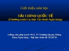 Giới thiệu môn học Tài chính quốc tế  - PGS. TS Trương Quang Thông