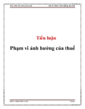 Tiểu luận: Phạm vi ảnh hưởng của thuế