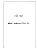 Tiểu luận: Khủng hoảng nợ Châu Âu