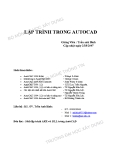 Giáo trình Lập trình trong Autocad - GV. Trần Anh Bình