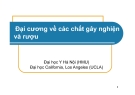 Bài giảng Đại cương về các chất gây nghiện và rượu