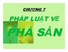 Bài giảng Luật kinh tế: Chương 7 - Ths. Nguyễn Ngọc Duy Mỹ