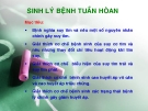 Bài giảng Sinh lý bệnh tuần hoàn