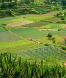 Đề tài: Đánh giá hiệu quả sử dụng đất nông nghiệp xã Phong Hòa huyện Phong Điền - Thừa Thiên Huế