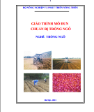 Giáo trình Chuẩn bị trồng ngô: Phần 1 - Trần Văn Dư (chủ biên)