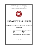 Khóa luận tốt nghiệp: Chiến lược Marketing cho sản phẩm hàng không giá rẻ tại Việt Nam