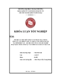 Khóa luận tốt nghiệp: Tìm hiểu xu thế thôn tính và sáp nhập (M&A) trong lĩnh vực tài chính ở Châu Âu trong cuộc khủng hoảng tài chính hiện nay. Bài học đối với các doanh nghiệp hoạt động trong lĩnh vực tài chính ngân hàng ở Việt Nam