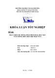 Khóa luận tốt nghiệp: Phát triển hệ thống phân phối hàng hoá Việt Nam trong điều kiện hội nhập WTO