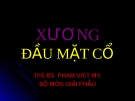 Bài giảng Xương đầu mặt cổ - THS.BS. Phạm Việt Mỹ