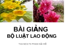 Bài giảng Bộ luật lao động - ThS-NCS.TS. Phan Hải Hồ