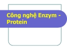 Bài giảng Công nghệ Enzym - Protein