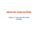 Bài giảng Bệnh đái tháo đường - Dược lý trị liệu đái tháo đường