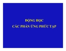 Bài giảng Động học xúc tác: Động học các phản ứng phức tạp