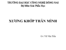 Bài giảng Xương khớp thân mình - GV. Vũ Văn Tiến