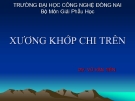 Bài giảng Xương khớp chi trên - GV. Vũ Văn Tiến