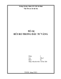 Tiểu luận: Rủi ro trong đầu tư vàng