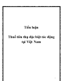 Tiểu luận: Thuế tiêu thụ đặc biệt tác động tại Việt Nam