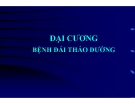 Bài giảng Đại cương bệnh đái tháo đường - PGS. TS. Đoàn Huy Hậu