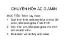 Bài giảng Chuyển hóa Acid Amin