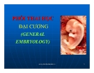 Bài giảng Phôi thai học đại cương