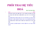 Bài giảng Phôi thai hệ tiêu hóa - ThS. Trịnh Sinh Tiên