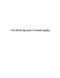 Câu hỏi ôn tập quản trị doanh nghiệp