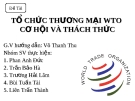 Đề tài: Tổ chức thương mại WTO cơ hội và thách thức