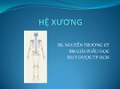 Bài giảng Hệ xương - BS. Nguyễn Trường Kỳ