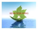 Bài giảng Bệnh nấm nông