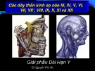 Bài giảng Các dây thần kinh sọ não III, IV, V, VI, VII, VII’, VIII, IX, X, XI và XII - TS. Nguyễn Văn Ba