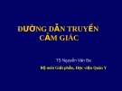 Bài giảng Đường dẫn truyền cảm giác - TS Nguyễn Văn Ba