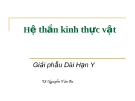 Bài giảng Hệ thần kinh thực vật - TS. Nguyễn Văn Ba