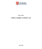 Giáo trình Công nghệ vi sinh vật: Phần 1 - ĐH Huế