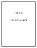 Tiểu luận: Tổ chức xã hội