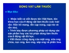 Bài giảng Động vật làm thuốc