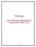 Tiểu luận: Quá trình hình thành đồng tiền chung EURO, SDR, ACU