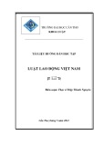 Luật lao động Việt Nam - ThS. Diệp Thành Nguyên