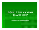 Bài giảng Bệnh lý tuỷ và vùng quanh chóp