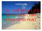 Bài giảng Luật Hình sự Việt Nam: Chương XV - ThS. Trần Đức Thìn