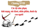 Bài giảng Luật Hình sự Việt Nam: Chương 18 - ThS. Trần Đức Thìn