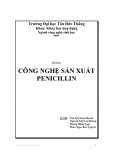 Đề tài: Công nghệ sản xuất Penicillin